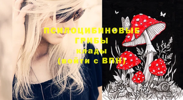 spice Нязепетровск