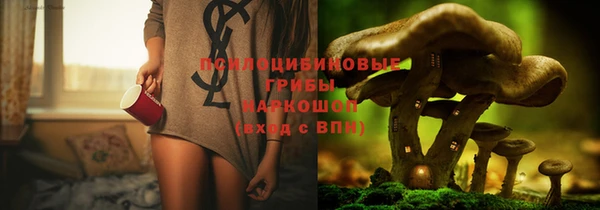 spice Нязепетровск