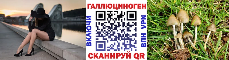 Псилоцибиновые грибы мухоморы Стерлитамак